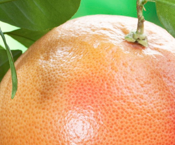 <p>MDE DERD OLANLAR N</p>  <p>  Greyfurt B1 vitamini asndan da iyi bir kaynaktr. B1 vitamini, karbonhidrat metabolizmasnda grevlidir. Kas ve sinir sisteminde etkilidir. B1 vitamini kaslar glendirir, itah dengeler, mide asidi dzenler, sindirimi kolaylatrr.</p>  <p>  B1 vitamini greyfurdun iinde bulunan niasin ile birlikte; karbonhidrat, protein, ya metabolizmasnda grevli olan enerji metabolizmasn dzenleyen birok enzimin yapsnda bulunur.</p>