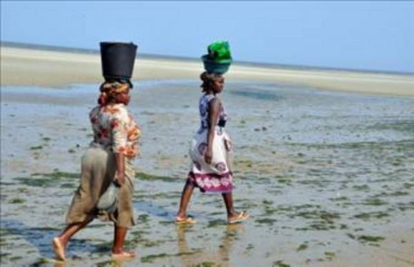 Mozambik&#8217;te dzenlenen "kim daha ok iki ier" yarmasnda 5 kii leli 4 yl oldu.