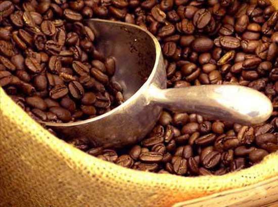 8- KAHVE: Kahve ieriinde bulunan kafein nedeniyle beslenme uzmanlar pek nermez. Fakat yaplan aratrmalara gre her gn bir fincan kahve mutlaka iilmelidir.