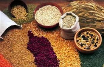 Tam tahll besinlerle geirilen nler gn boyunca zinde ve tok hissetmeyi salyor.  Enerjinin yava ve dengeli ekilde vcutta kullanlmasn salayarak uzun sre din ve tok hissetmemizi salayan tam tahlllarn, obezite tedavisinden daha birok eye faydas var.