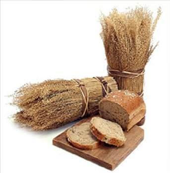 rnein; budayn rafinasyon ilemi srasnda, budaydaki kepein byk bir ksm ve kepein z ayrlr. Bu durumda budayn iindeki salk iin son derece yararl olan diyet posas, vitaminler, mineraller ve daha birok ey kayba urar. Bu yzden rafine edilmi tahllarda, tam tahllardan daha fazla niasta bulunur.