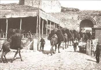 <p>Yl: 530</p>  <p>  Nfus: 550.000</p>  <p>  Yllk art: 0,25</p>