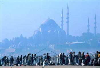 <p>Yl: 2000</p>  <p>  Nfus: 8.803.468</p>  <p>  Yllk art: 2,88</p>