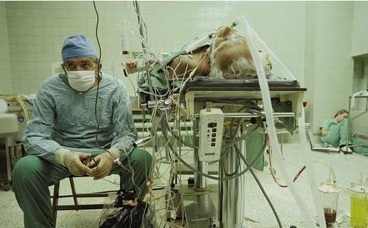 1- Doktorlar, cerrahlar, di hekimleri