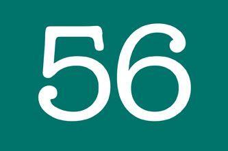 kmak  <br>  Trke`de en fazla, farkl anlama sahip olan kelime, TDK szlne gre 56 ayr anlamyla "kmak"!