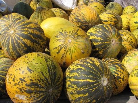 KAVUN<br>  Antioksidan zellii vardr. Endie ve uykusuzlua iyi gelir. Barsak ve cilt kanserine kar Amerikan Kanser Topluluu&#8217;nca tavsiye edilmitir.