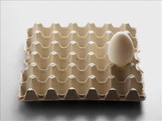 5- Eski Ana : 62 - 67 gr arlndaki yumurtalardr.<br>  Yeni ana ve eski ana yumurtalar 24. hafta ve 34. hafta aras evrede tavuklardan elde edilir.