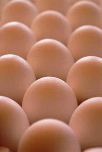 6- Duble : 67 gr ve st arlndaki yumurtalardr.<br>  Duble yumurta 34.hafta ve daha ileri evresinde olan tavuklardan elde edilir