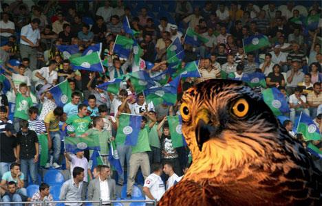 "Atmacalar"  <br>  aykur Rizespor`un "atmacalar" lakab iki taraftar grubunun birlemesi sonrasnda ortaya kyor. Gebe ve Derebeyler taraftar gruplarnn 2013 ylnda birleme karar sonrasnda kulbn sembol "atmacalar" olarak belirleniyor.