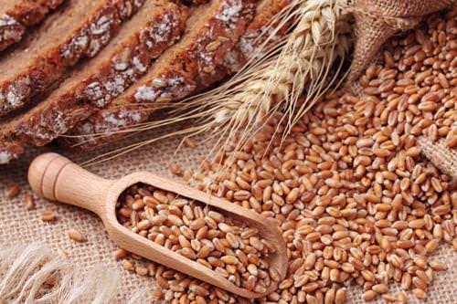 Tahllarn hepsi beyin fonksiyonlarna zarar verir. Ancak bunun tek istisnas yzde 100 tam kepekli tahllardr. Yani tam tahllar.  Eer ok tahl tketirseniz bu hzl yalanmanza da yol aacaktr.