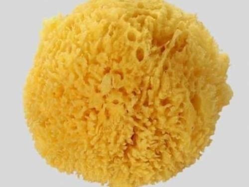 Odaya sinen sigara kokusuna kar; Odanzn baz kelerine slak bir snger koyun. Islak snger tm sigara kokusunu alacaktr.