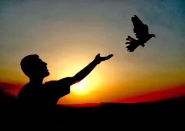 Yaplan arama: Cinayetten nasl paay kurtarrm? Ayda ka kez aranyor: Ortalama 2 bin