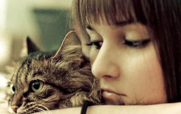 Yaplan arama: Kedimin beni sevmesini nasl salarm? Ayda ka kez aranyor: Ortalama 390