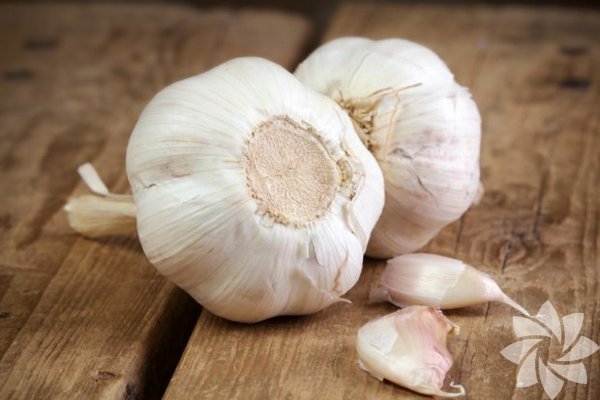 Sarmsak<br>  Bir ate drc ve doal antibiyotik olan sarmsak, binlerce yldr medikal amalar iin kullanlyor. stelik artk bir ya yakc olduu da biliniyor. Koreli aratrmaclarn ortaya srdne gre, yedi haftadan fazla sre sarmsak ierikli diyet ile beslenen farelerde kilo kayb gzlenmitir.