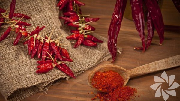 Arnavut biberi<br>  Kalorileri yakmak dnda, ac itahnz da frenlemeye yarayabilir. Perdue niversitesi Gda ve beslenme aratrmaclar kilolu olmayan 25 insan zerinde bir aratrma yapt. Bunlardan 13&#8217; baharatl yemek yemeyi severken 12&#8217;si sevmiyordu. Alt hafta boyunca yemeklerine az da olsa kuru Arnavut biberi katlan grupta, biber sevmeyenlerin itahlarnn kesildii gzlendi. Ve ayrca zerdeal gibi, bu baharat da souk algnl ve mikroplar defetmek iin yardmcdr, hatta en inat baklk sistemlerini bile harekete geirir.