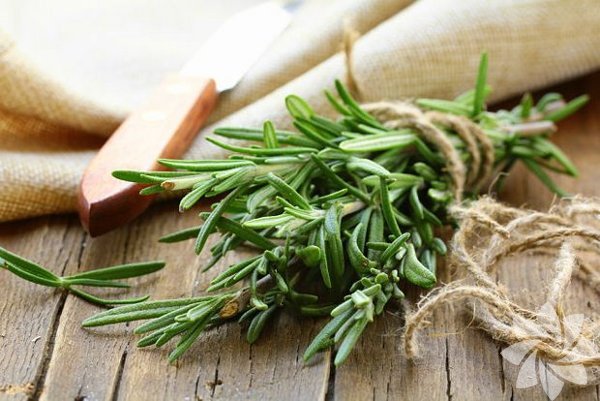 Biberiye<br>  am gibi ineli bu koyu yeil bitki, kilo kontrol iin de ie yaryor. ngiliz Beslenme Dergisi&#8217;ne gre, biberiyede bulunan karnozik asit, kan ekeri seviyesini azaltrken kilo dengesini korur. Illinois niversitesi&#8217;nde yaplan bir dier aratrmaya gre, tip-2-diyabetle ilikili enzimleri de bloke ediyor.