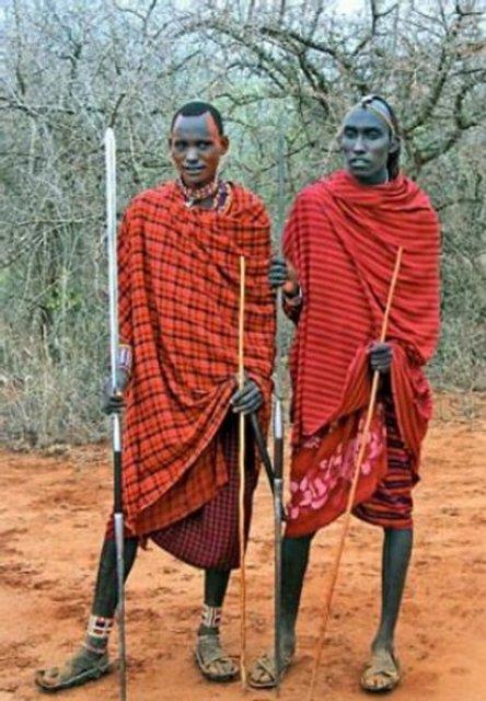 Kenya'da bir ailenin gelirinin te biri rvete gidiyor