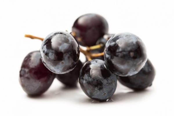 3. ekirdekli siyah zm<br>  Siyah zm ekirdeinde bulunan resveratrol gl bir antioksidan. almalar; zellikle kan kanseri, akcier, prostat, kolon ve pankreas gibi trlerde kanserli hcreleri ldrc etki gsterdiini ortaya koyuyor. Taze siyah zm ekirdekleriyle gnde 1 salkm veya ekirdekli kuru zm 1 avu tketmenizde fayda var.