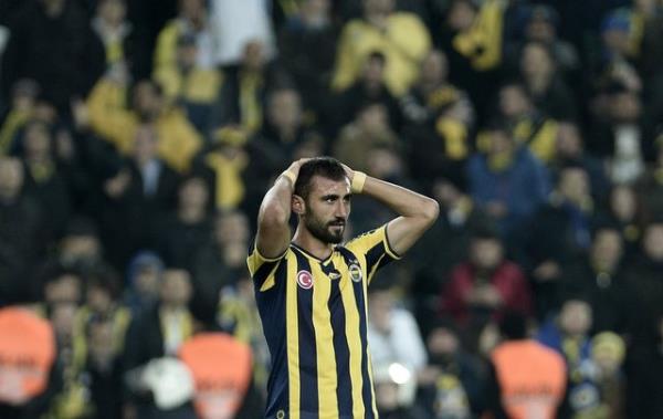 Seluk ahin - Fenerbahe