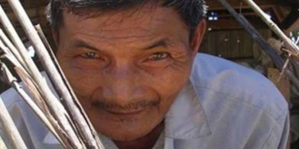 "Uykusuzluun salm kt ynde etkileyip etkilemediini bilmiyorum, ama kendimi ok salkl hissediyorum ve tpk dier insanlar gibi iftilik yapmaya devam ediyorum," diyen Ngoc her gn evine giderken 4 km'lik yolu 50 kg'luk gbre uval tayor. 6 ocuu ve karsyla Que Trung'ta yaayan adam geceleri fazladan i yaparak iftliini de hrszlara kar koruyor, ayrca 3 ay sren uykusuz geceler boyunca balk yetitirmek iin iki byk havuz kazd.