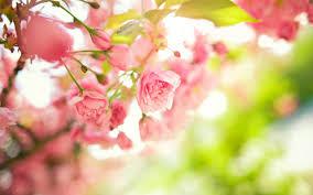 Yorgunluk hissinin yannda baka ikayetler de grlebilir. yle ki; uykuda dzensizlik, itahda fark edilir derecede azalma, kaslarda gszlk ve kas kramplar, eklemlerde ar gibi belirtiler yorgunlua elik edebilir. Baz insanlarda yorgunluk ve uyuukluk hali o kadar fazladr ki kii bu durumu &#8216;parmam dahi oynatacak halim yok&#8216; eklinde tanmlar.