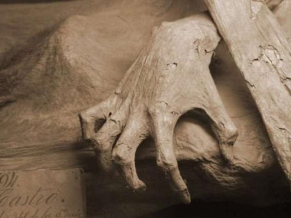 Londra niversitesi retim grevlilerinden in Sanatlar ve Arkeoloji uzman Dr Lukas Nickes, "Tabutu ilk atmzda mumyann yz bembeyazd.