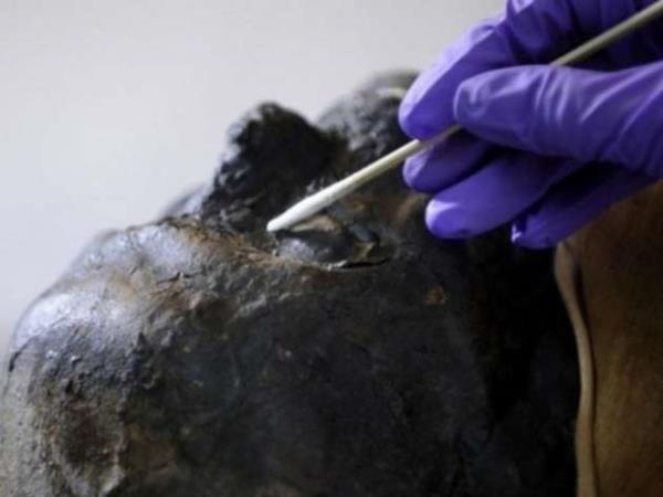 300 yl boyunca korunan mumyann Qing Hanedanl (M.S 1644-M.S 1912) dneminde yaam olabilecei belirtildi.