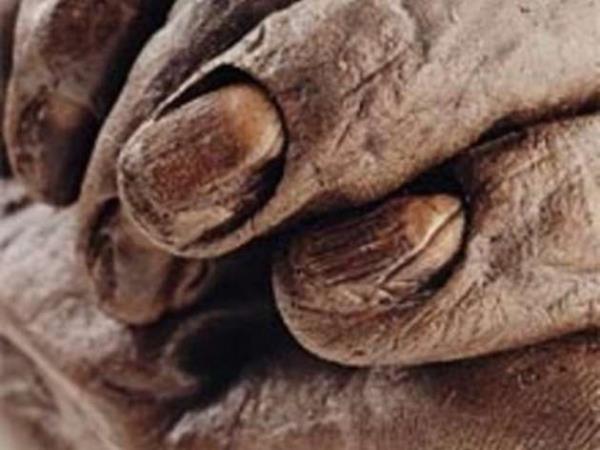 Ayn blgede bulunan 2 dier iskelet de inceleniyor.