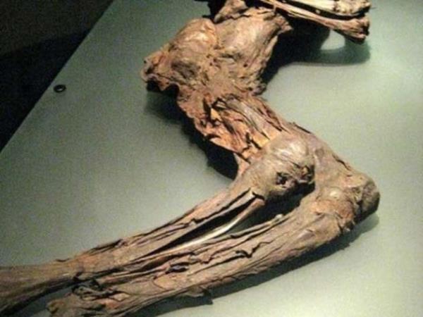 Ancak bir sre sonra yz simsiyah oldu ve vcudundan rk kokular gelmeye balad.