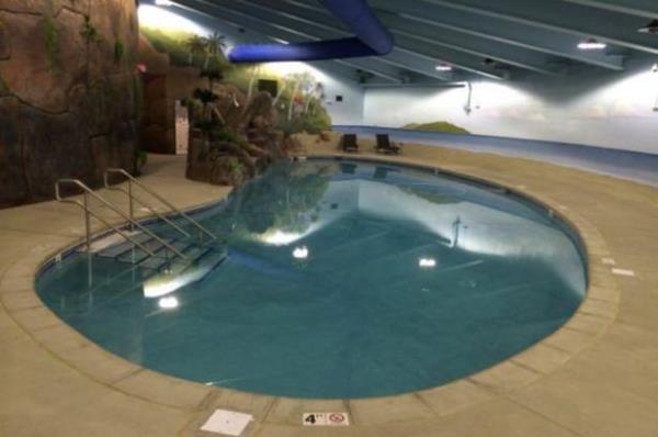 kendisinin de gne patlamalar neticesinde zarar grebilecek elektrik ebekesinin devre d kalmasyla birlikte oluabilecek kaosun en byk korkularndan biri olduunu syledi.