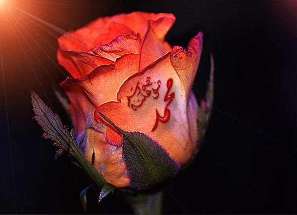 <p><b>Raslullah Efendimiz yle buyururlar:</b></p>  "mmetim hakknda en ok korktuum ey, u  helk edici tehlikedir: Kendisine itaat edilen cimrilik, pei sra gidilen hev ve heves, her gr sahibinin kendi fikrini beenmesi." (Eb Nuaym, Hilye, II, 160