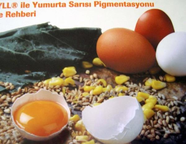A vitamini<br>  Balk, karacier, st ve st ya, yumurta sars, sebze (havu, kabak, biber, brokoli) ve meyvelerde(kays,kukonmaz,maydanoz,spanak, havu,kereviz, marul, portakal, erik, domates) bulunur. Enfeksiyonlara kar vcut direncini arttrr,enfeksiyonlara kar koruyucudur. Gzler, byme, reme, kemik, di geliimi,cilt, trnak ve sa sal iin gereklidir.