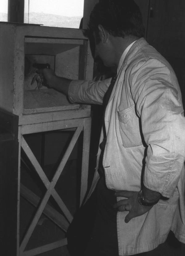 1970'li yllarda polis kriminal laboratuvarlarnda lm iin at yaplyor...