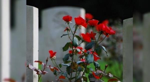 HAZRET DEM  <br>  Yeryznde yaratlan ilk insan ve ilk peygamber, btn insanlarn babas Hazreti dem&#8217;dir. Hazreti Havva da onun sol kaburga kemiinden yaratld. Yasakl aatan unutarak yedikleri iin cennetten karlp dnyaya gnderildiler. dem aleyhisselmn kabri; Kuds&#8217;te, Mina&#8217;da, Mescid-i Hif&#8217;te veya Arafat&#8217;ta...  <br>  HAZRET HSEYN  On ki mm&#8217;n ncs olan Hseyin bin Ali, Resulullahn torunu ve Hazret-i Ali&#8217;nin ikinci oludur. Lakab Seyyid ve ehit&#8217;tir. Soyundan gelenlere Seyyid denir. Kerbela&#8217;da ehit edildi. Mbarek ba, Msr&#8217;da Karafe Kabristannda medfun.  <br>  YUA PEYGAMBER  Hazreti Yua, srailoullarna gnderilen peygamberlerdendir. Musa aleyhisselamn yeeni veya vekilidir. Yua aleyhisselamn eria rman ayaklar slanmadan getii, Eriha surlarn bakyla ykt bilinir. Bir rivayete gre; Musa Peygamber ile birlikte Mecmeul-Bayreyn&#8217;e (Boazii) gelmi ve vefat ederek Yua Tepesi&#8217;ne defnedilmitir. Boazii&#8217;nin sahile en yakn ve en yksek tepesinde trbesi var.