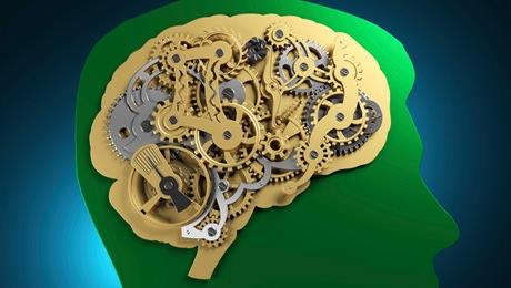 6- Kaloriler olmadan vcut, beynin almas iin ihtiyac olan enerjiyi retemez. Oysa ki beynin almas iin gnde 3 kutu gazl iecee edeer ekere ihtiyac var. Yeterli enerjiyi alamadnda almak iin, bir eit yal asit tr olan keton kullanr.