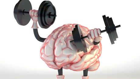 7- Vcudun keton kullanmna adapte olma yetenei, insan rknn, dier trlerden daha uzun mrl olmasn salamtr.