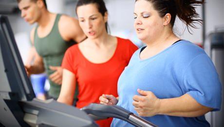 17- Yeni bir aratrmaya gre FTO obezlik geni, bu geni tayan insanlara beyine tekrar yeme komutu gnderen ghrelin hormonunu pompalyor