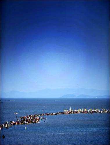 8 Gnn birinde kaplanlar btn ky kuatnca kyde yaayanlar can havliyle adann komusu olan Modo adasna yzdler,