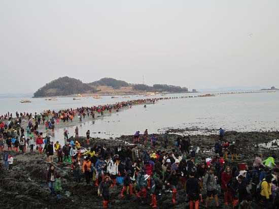 Hz. Musa'nn asasyla Kzldeniz'i yarp ortasnda bir yol at hadisenin bir benzeri Gney Kore'de yaanyor.