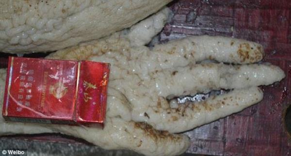 "Uzayl" olduuna inand nesneyi o tarihten beri buzdolabnda sakladn syleyen Li internette binlerce takipi toplad.