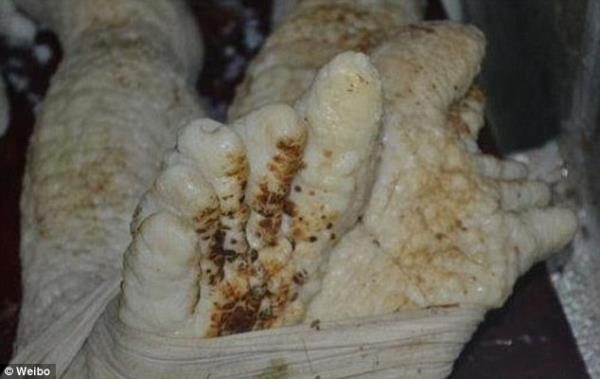 Ancak in polisi yapt aklamada bu nesnenin sahte olduunu duyurdu. Polis yetkilileri Li'nin buzdolabnda saklad eyin uzayl olmadn, yksek kaliteli kauuktan yaplma bir nesne olduunu belirtti.