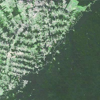 Brezilya - Bolivya    <br>  Brezilya ak yeil, Bolivya koyu yeil. Doal bir nehirle ayrlmlar ama ormanclk kanunlar iki lke arasndaki fark belirliyor.