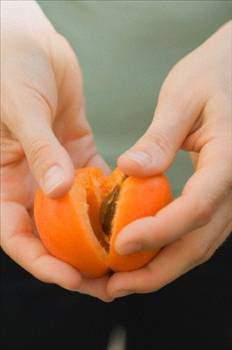 Kays beyin ve sinir dzeninin iyi almasn salar - Kays; karacierin kendini iyiletirmesini salar.