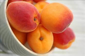 - Fonksiyonel gda; kendi ierdii bileikleri ile hastalklardan koruyucu, nleyici ve/veya tedavi edici etkiye sahip gda demektir.