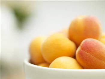 - Kays suyunun veya kays hoafnn; Ramazan aynda, iftarda yani oru aarken iilmesi ok yararl olur.