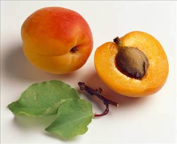 Kays ekirdei ieriindeki ya oranlar; % 62 oleik asit ve % 28 linoleik asit , % 7 palmitik asit, % 2 palmitoleik asit, % 2 stearik asit.