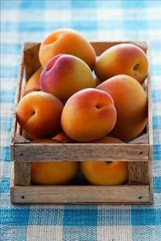 Kays ekirdei ve ya, kozmetikte de kullanlmaktadr. - Kays ekirdei; % 16.76 protein, % 5.17 selloz ve % 41.7 orannda ya ieriri.