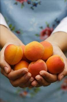 Ac kays ekirdeinden vitamin B17 retmek ok kolay i, fakat bakanlk tanmn henz yapmad iin lkemiz her yl ok miktarda para kaybediyor.