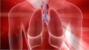 4) Verem - Dnyada ylda 1 milyon 600 bin kii veremden lmektedir. zellikle sigara ienlerin bu hastala yakalanma tehlikesi ok yksek.