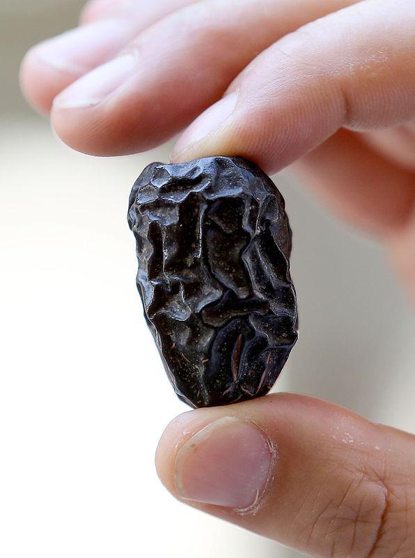 kisinde de erkeklik ve diilik vardr.